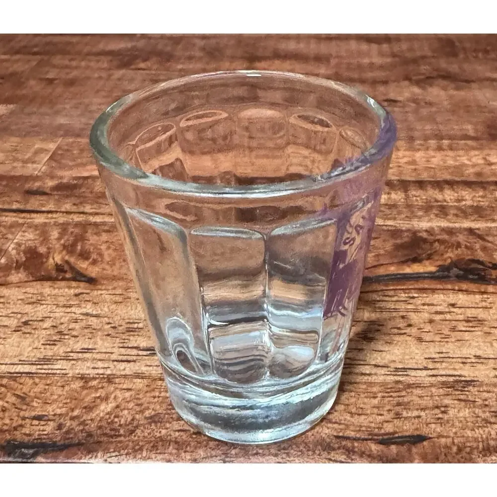 Hard Rock Hotel Save The Planet Las Vegas Purple Shot Glass